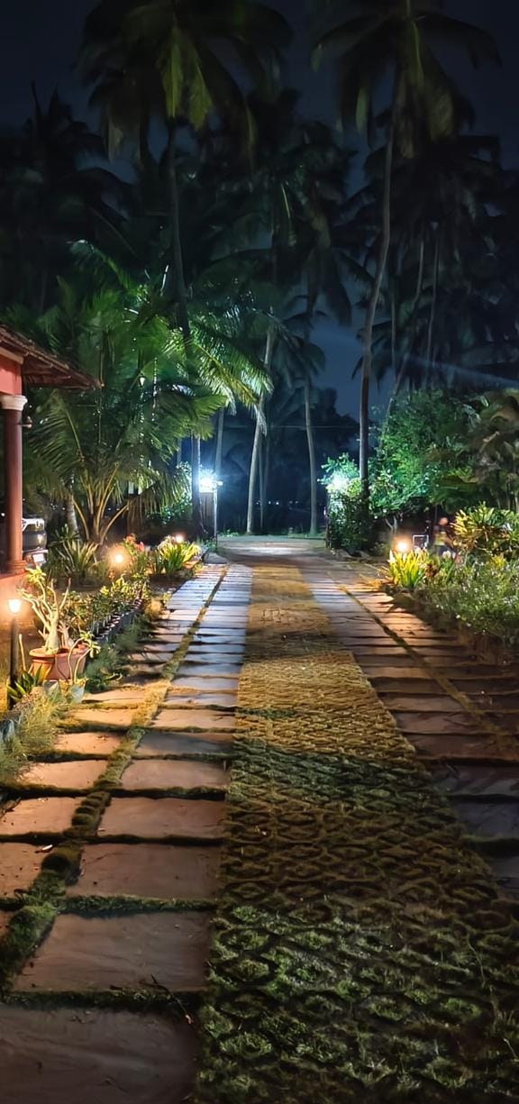 L'allée du centre, la nuit, sous les cocotiers