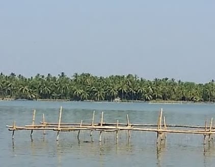 Pêcheries en bambou sur la lagune