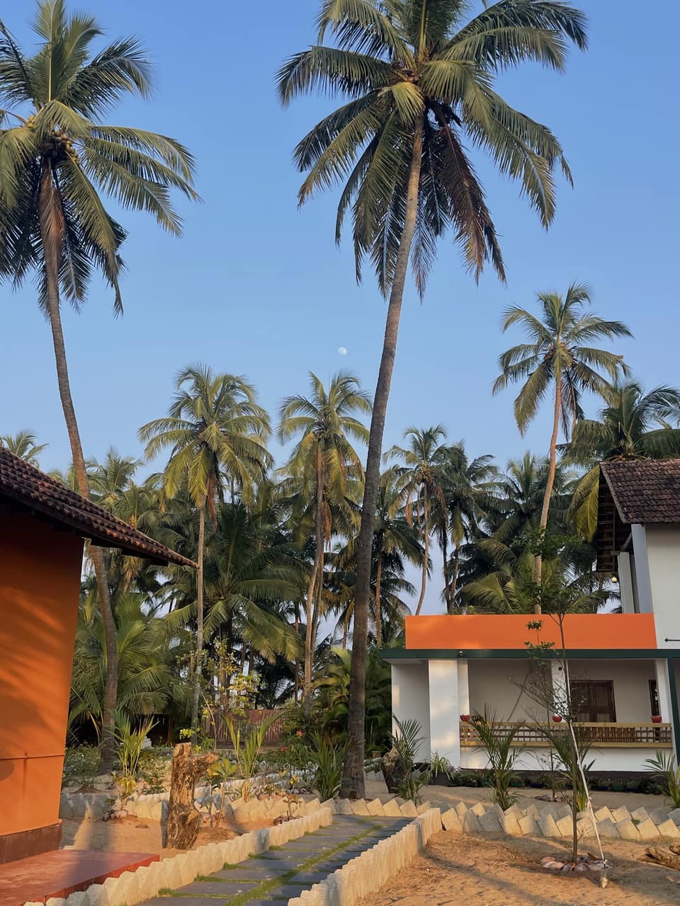 Les bâtiments du centre sous les cocotiers