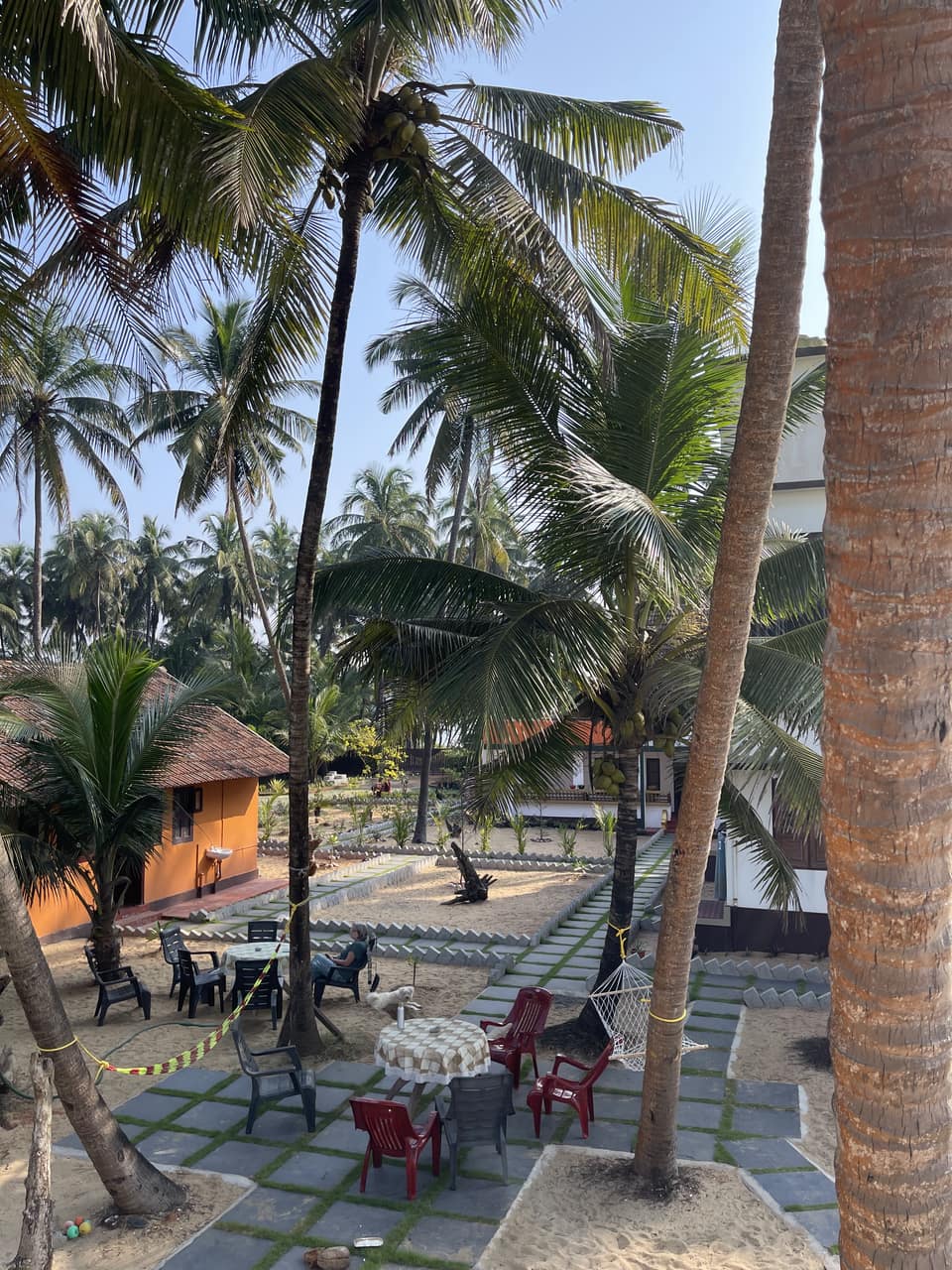 La terrasse et le jardin du centre