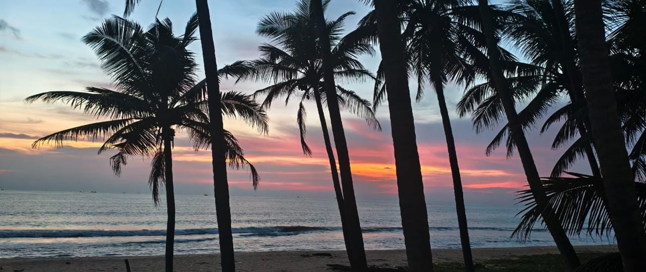 Coucher de soleil sur la mer d'Arabie, entre les cocotiers
